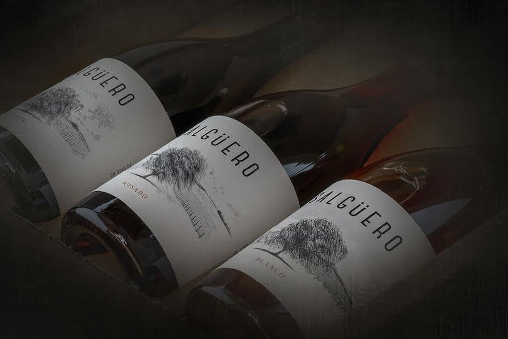 De Ribera del Duero a Rioja: vinos para sorprender y brindar en Navidad