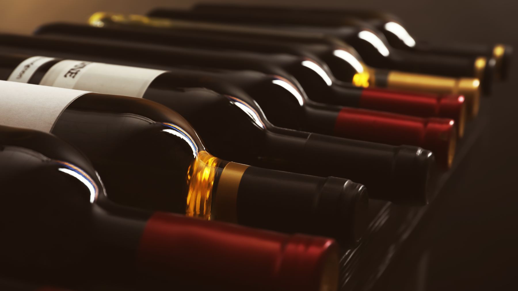 De Ribera del Duero a Rioja: vinos para sorprender y brindar en Navidad