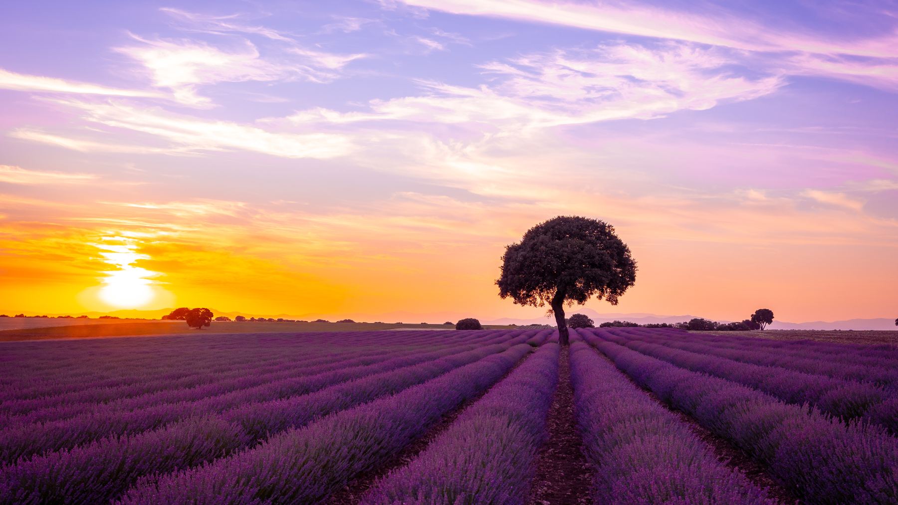 Nombrado Pueblo Mágico del Año 2026: a sólo 1 hora de Madrid y conocido como la