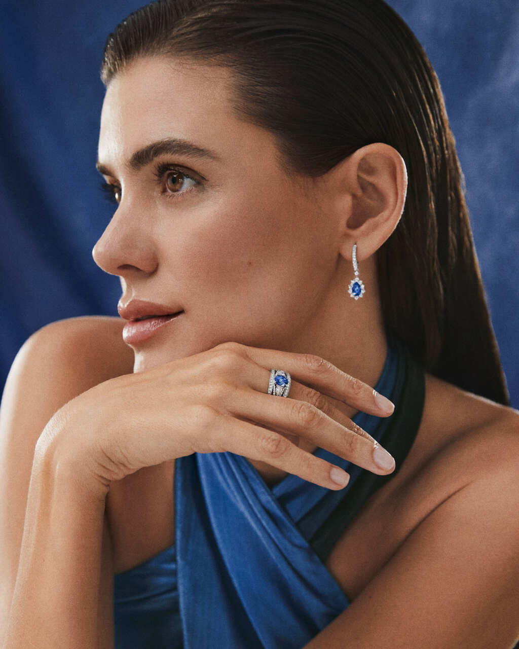 signo del zodiaco navidad