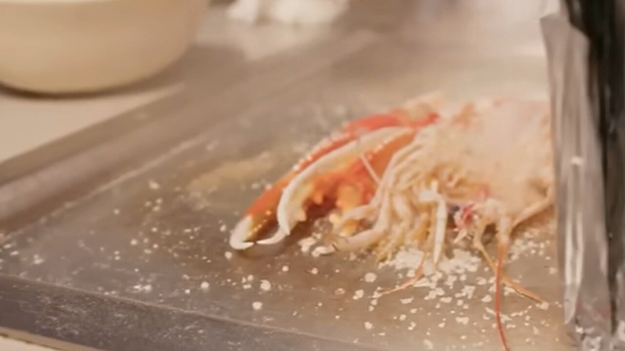 gambas y cigalas Dani García