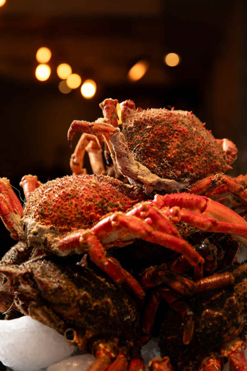 comida gourmet delivery Navidad