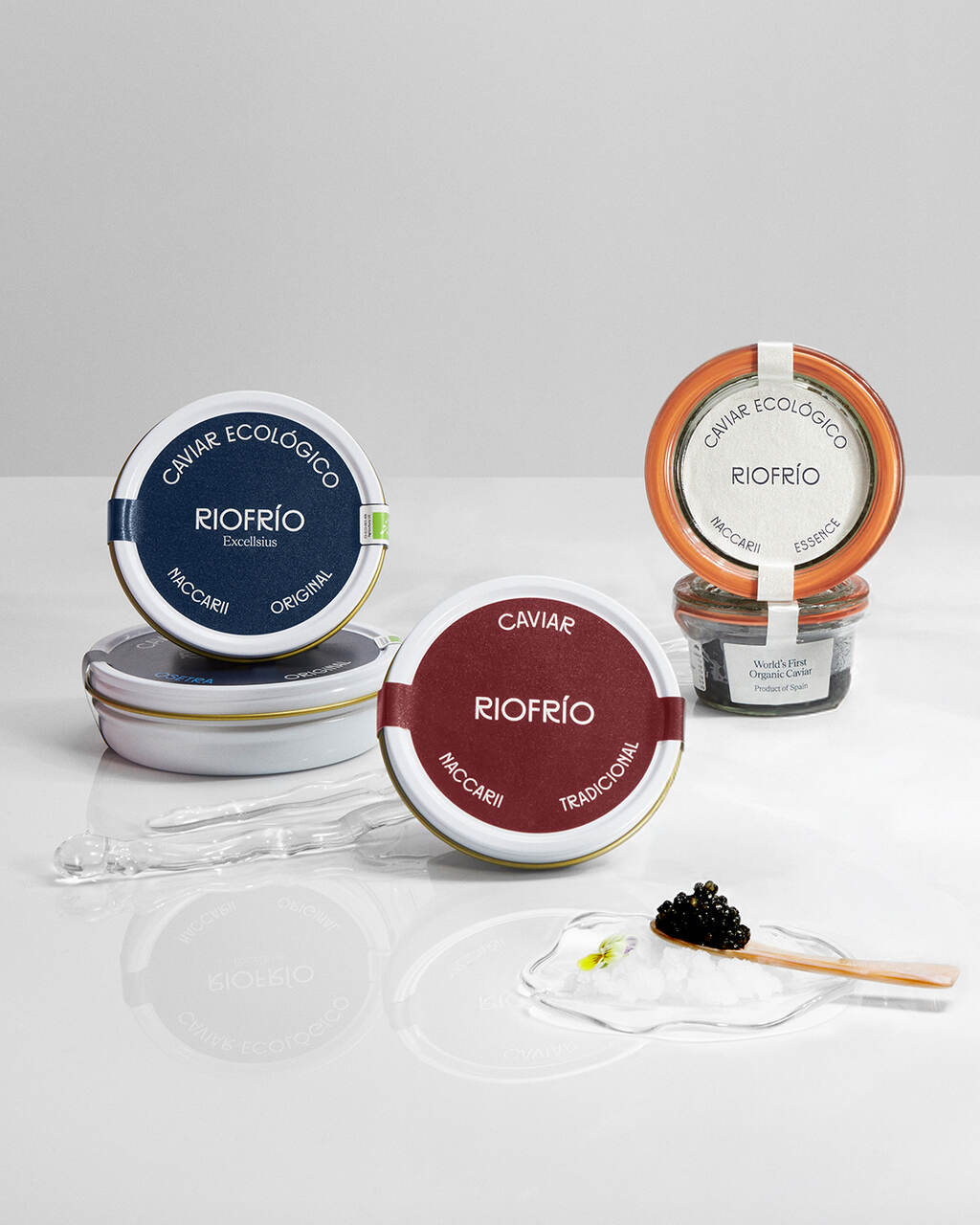 gastronomía gourmet navidad