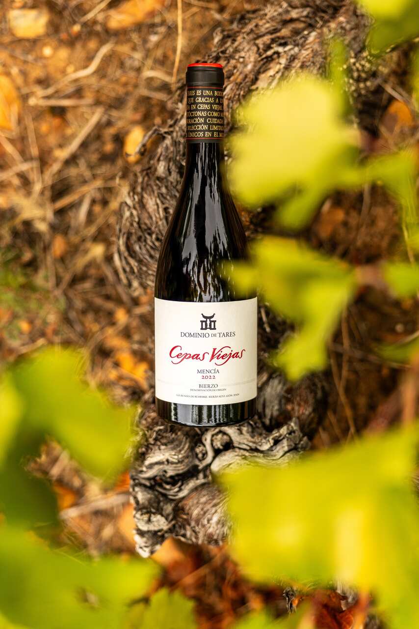 ideas regalos navidad