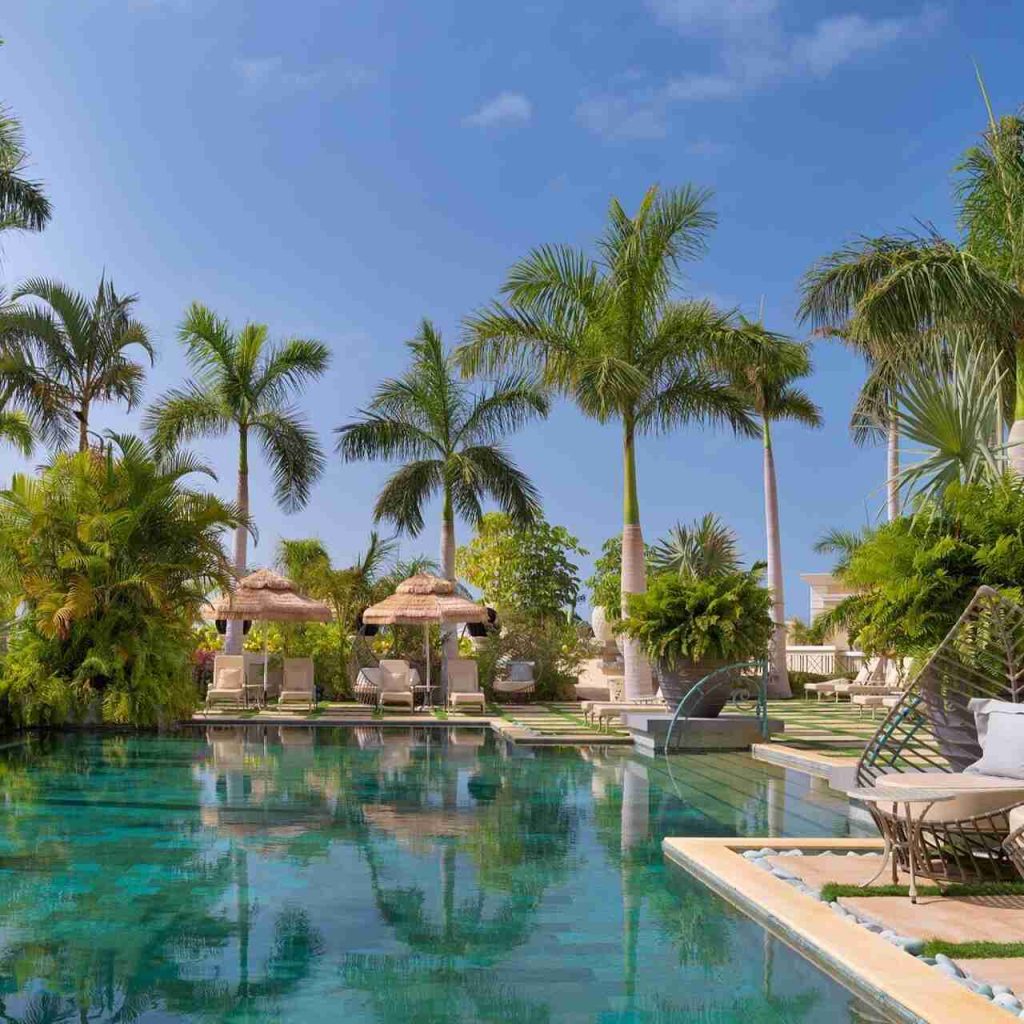 tenerife Islas Canarias