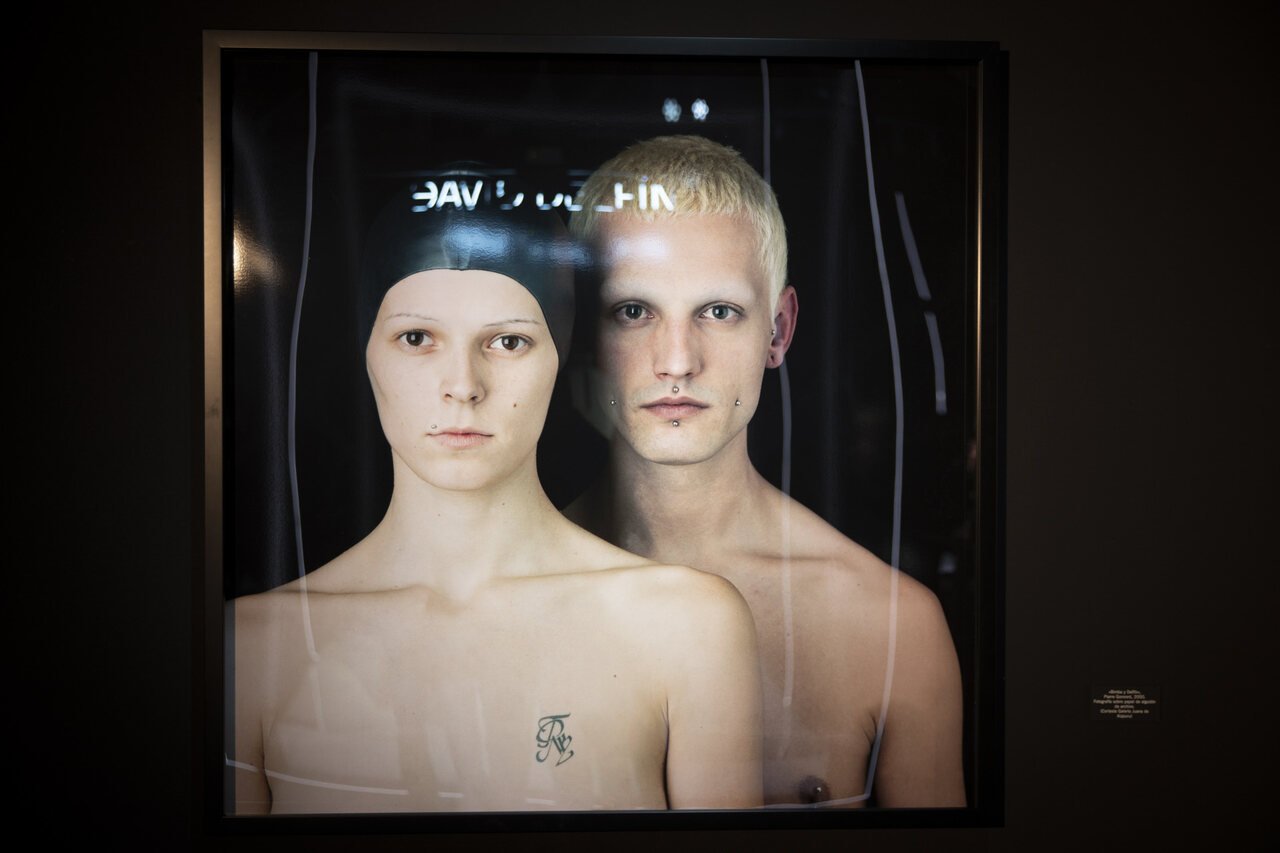 exposición Dcavid Delfín