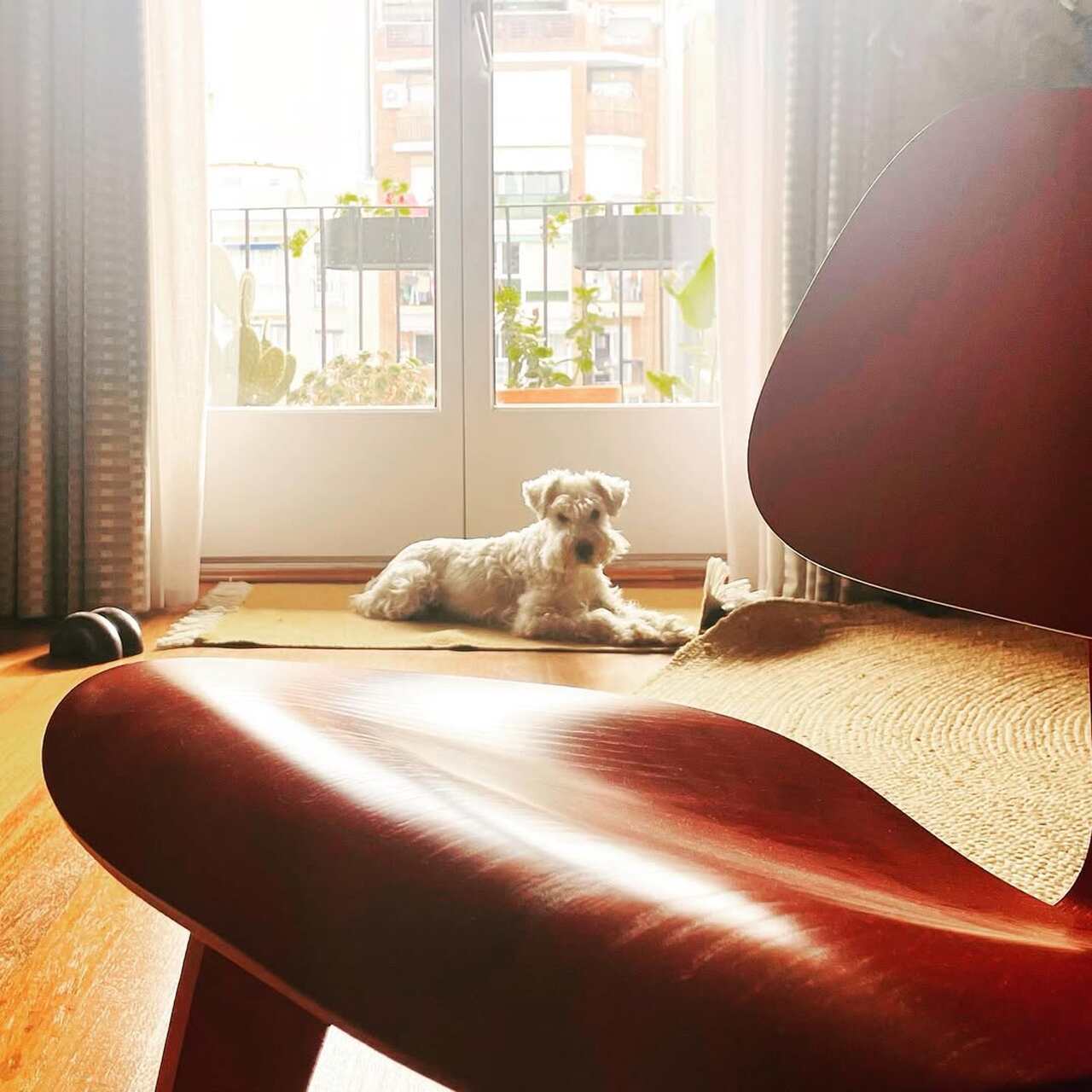 marc giro presentador