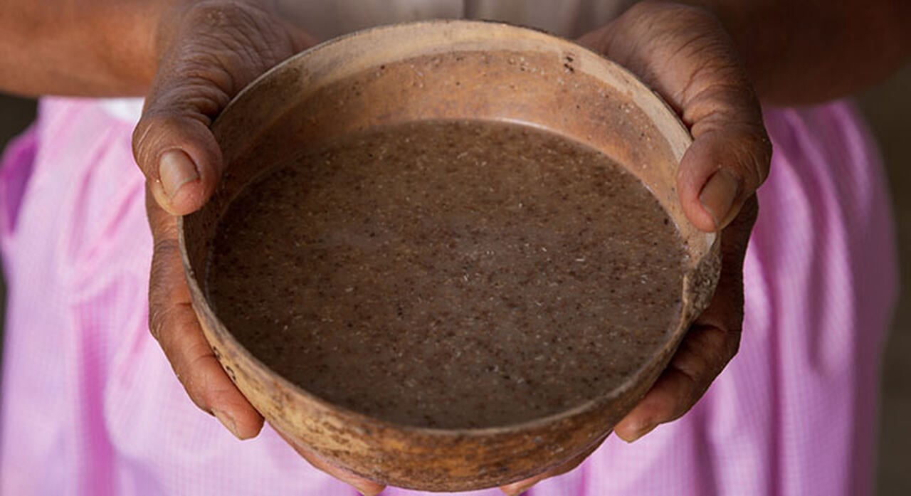 pozol bebida ancestral probióticos