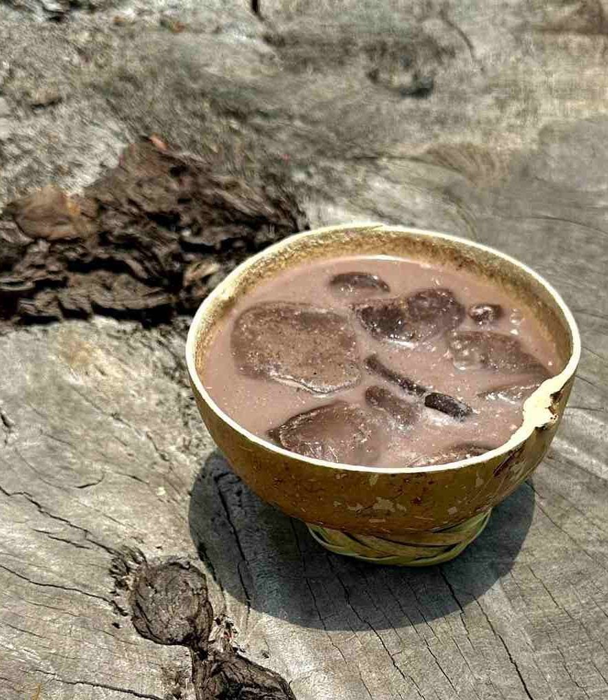 pozol bebida ancestral probióticos