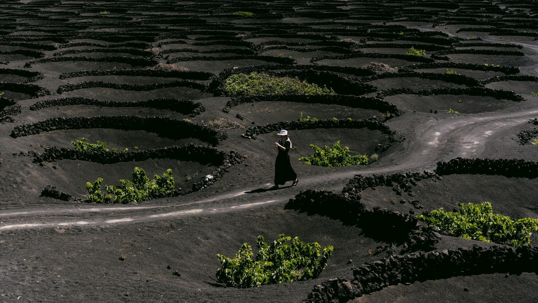 Cada bocado, un capítulo: la historia de Lanzarote a través de sus sabores en Madrid Fusión