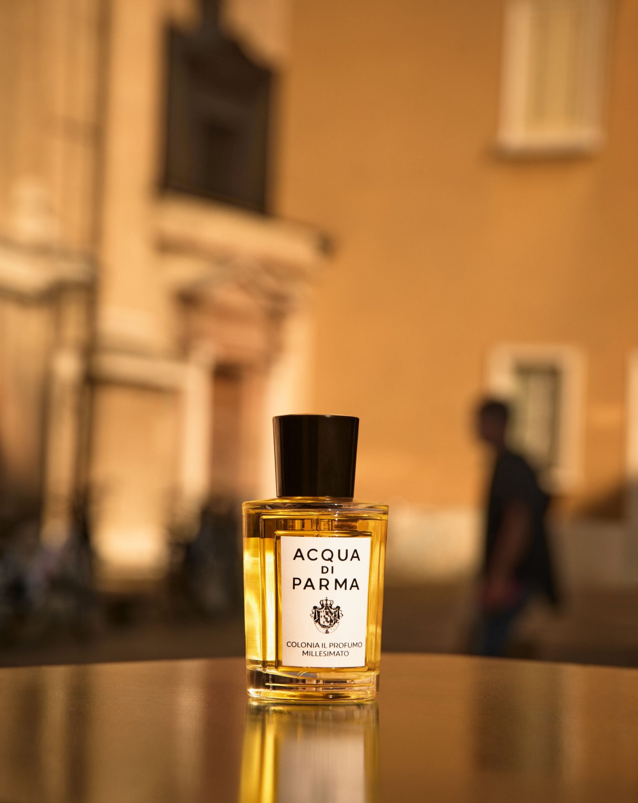 colonia san valentin