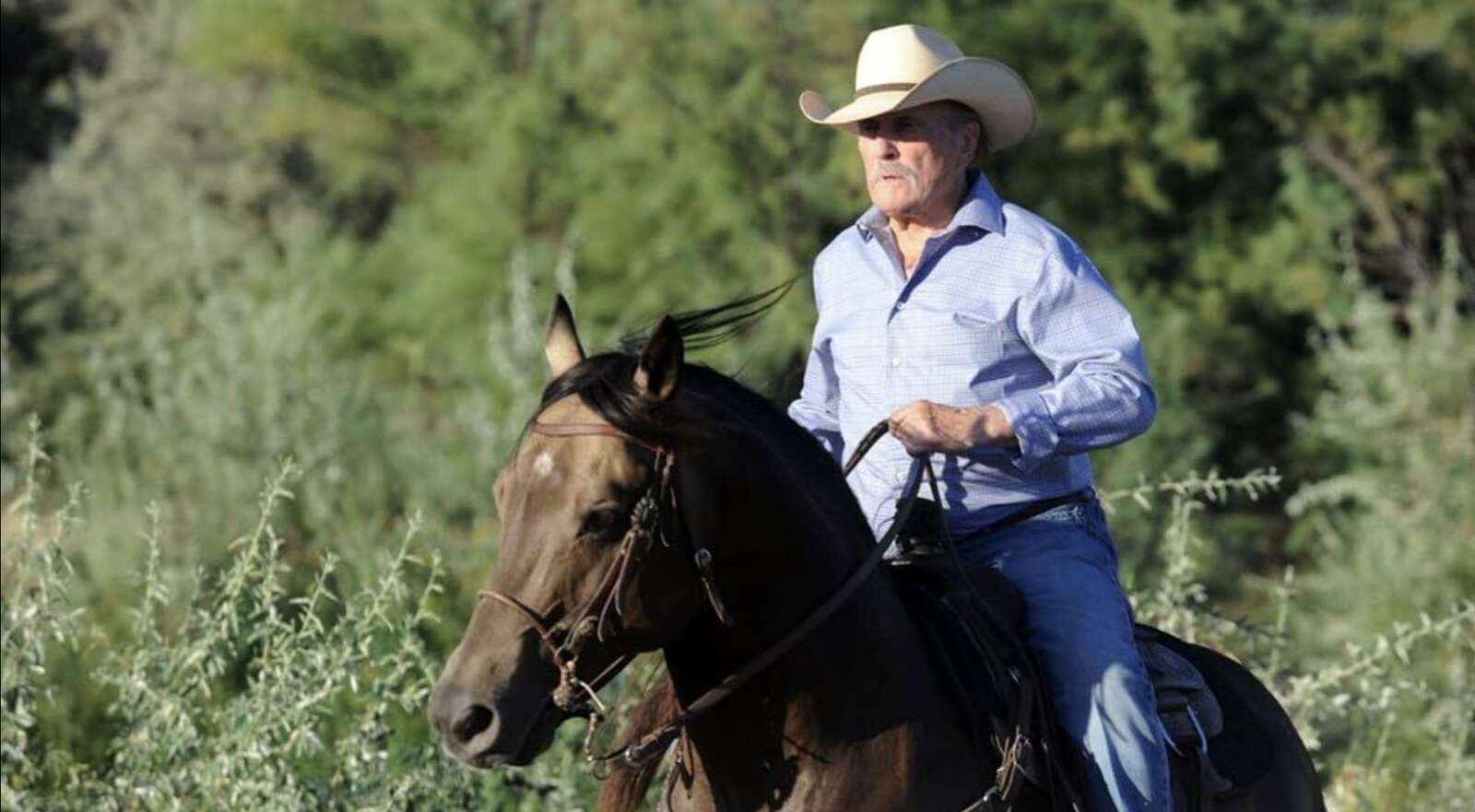 El actor en Caballos Salvajes