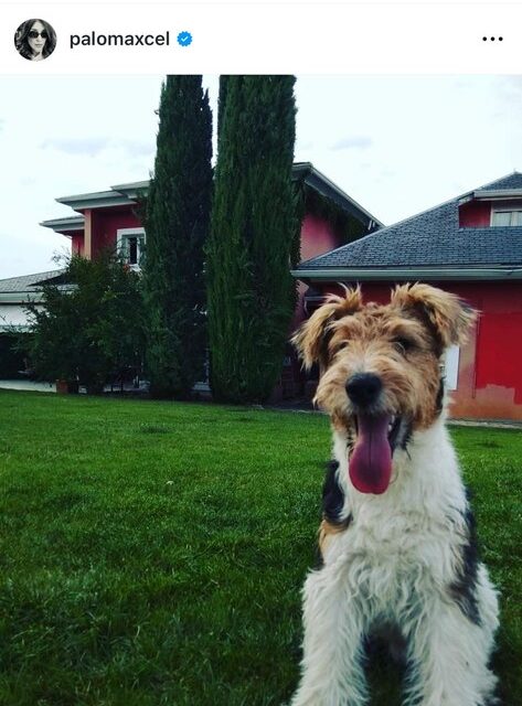 Las Rozas, Paloma Porcel