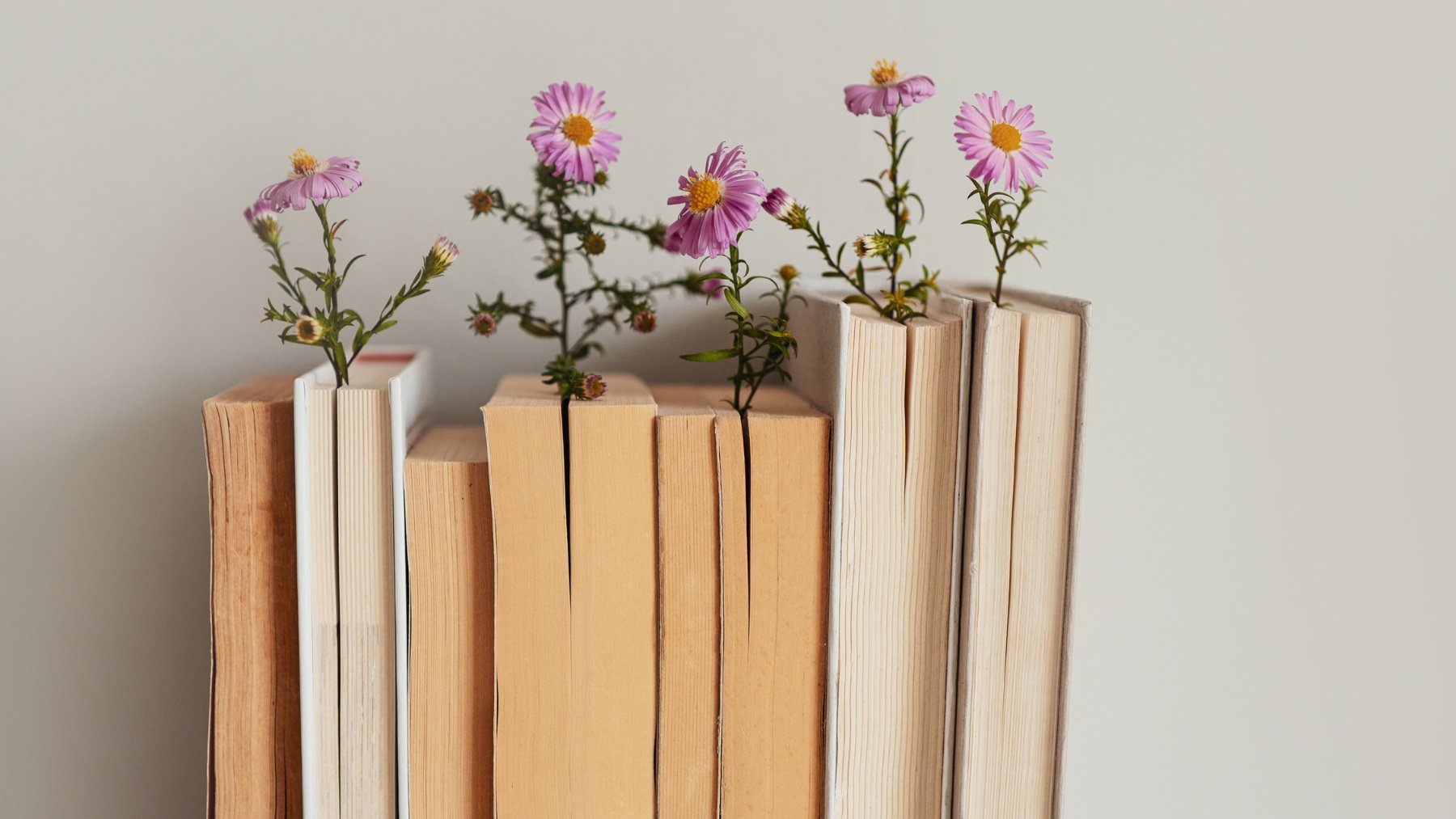 Todas la novedades en libros: desde