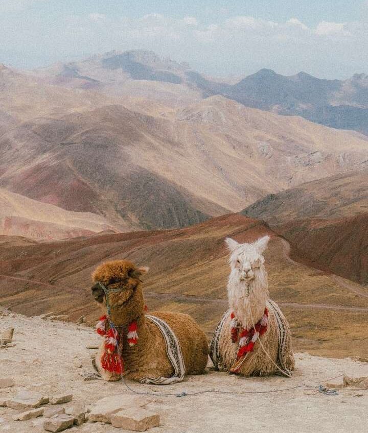 tendencias viajar passporter