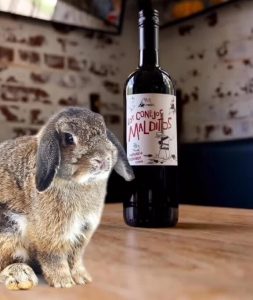 Vino Leonardo DiCpario