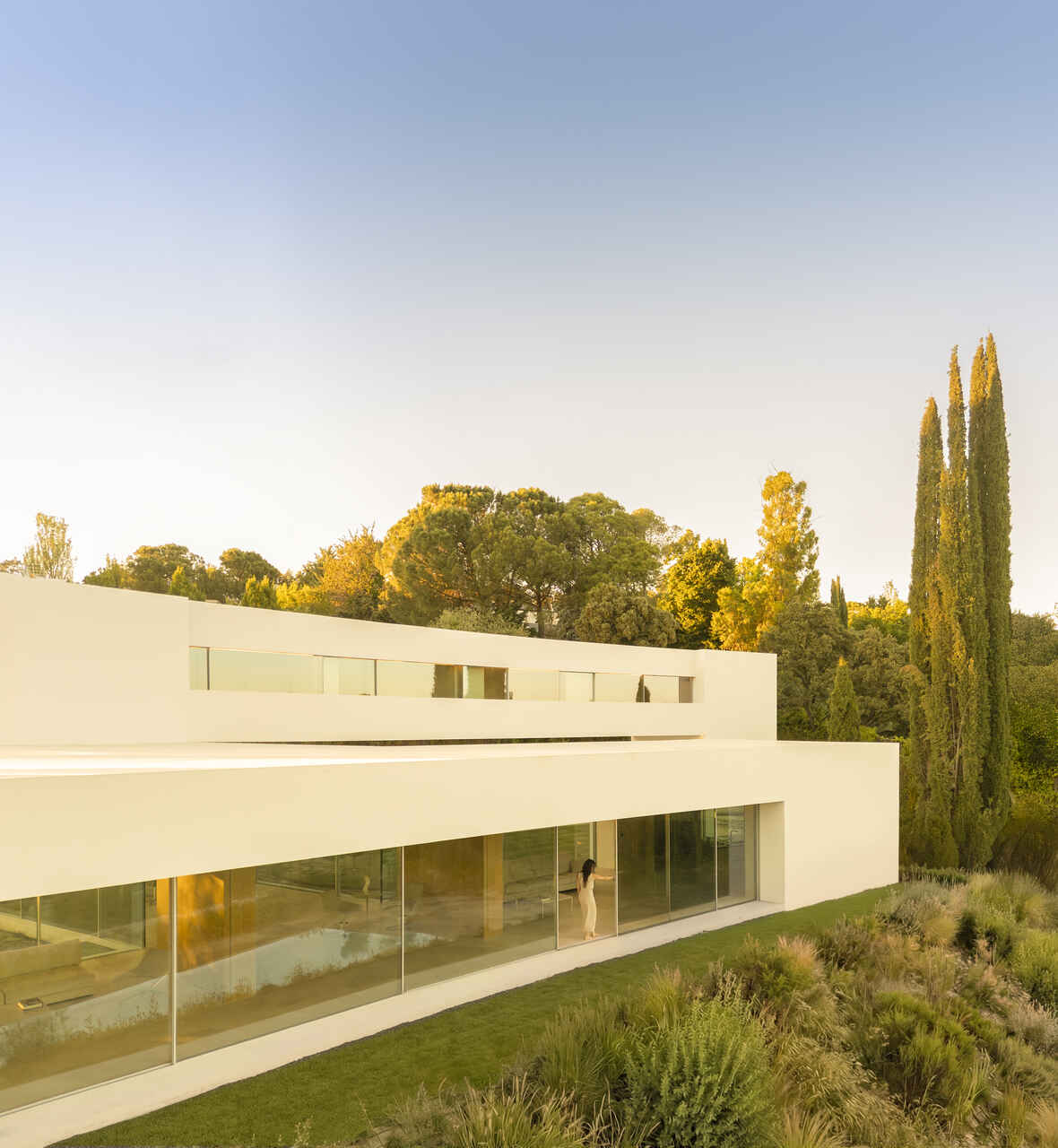 Fran silvestre proyecto La Moraleja