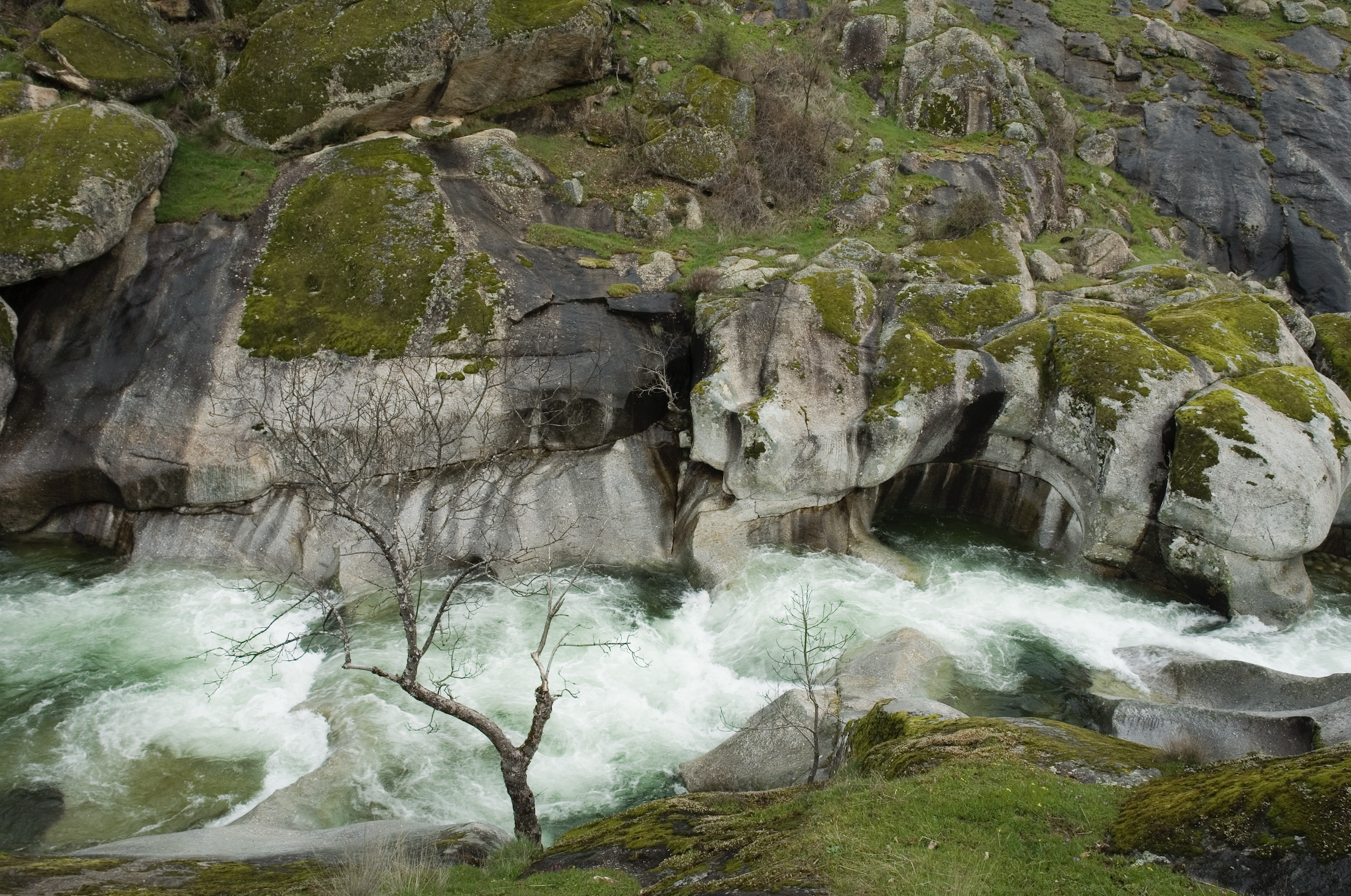 El Valle del Jerte se viste de blanco: vive la magia del cerezo en flor en Extremadura