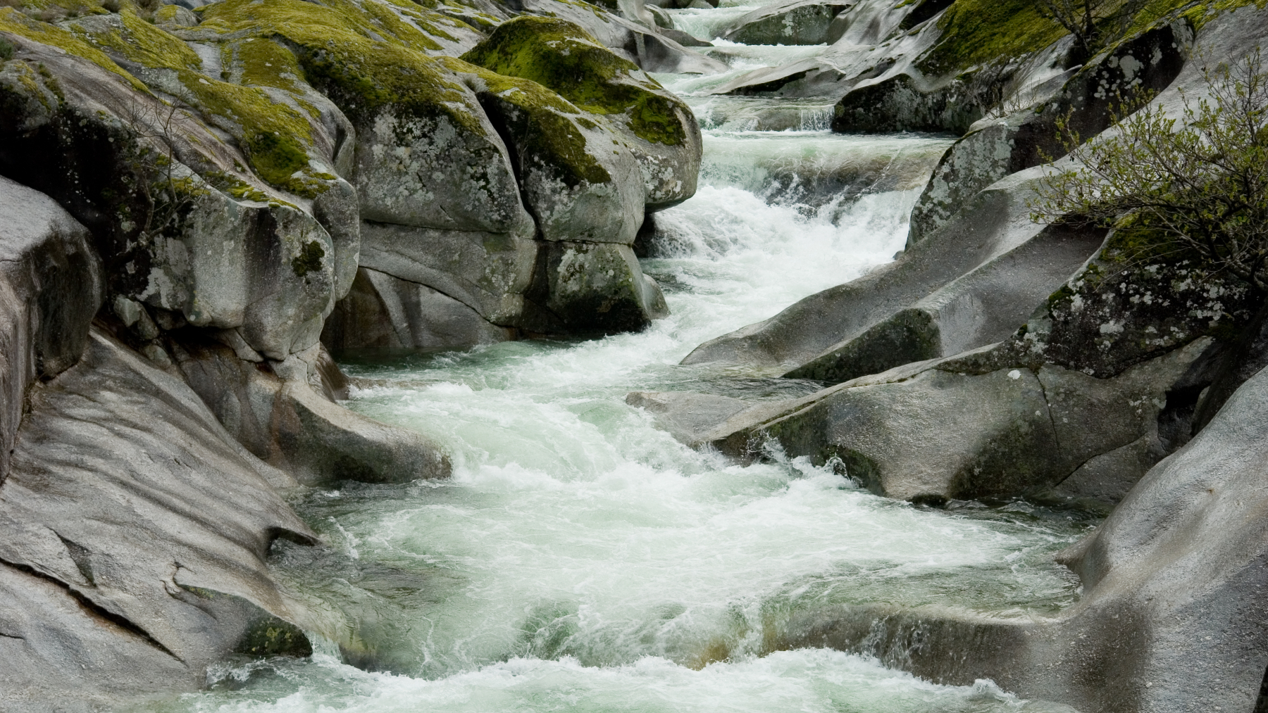 El Valle del Jerte se viste de blanco: vive la magia del cerezo en flor en Extremadura