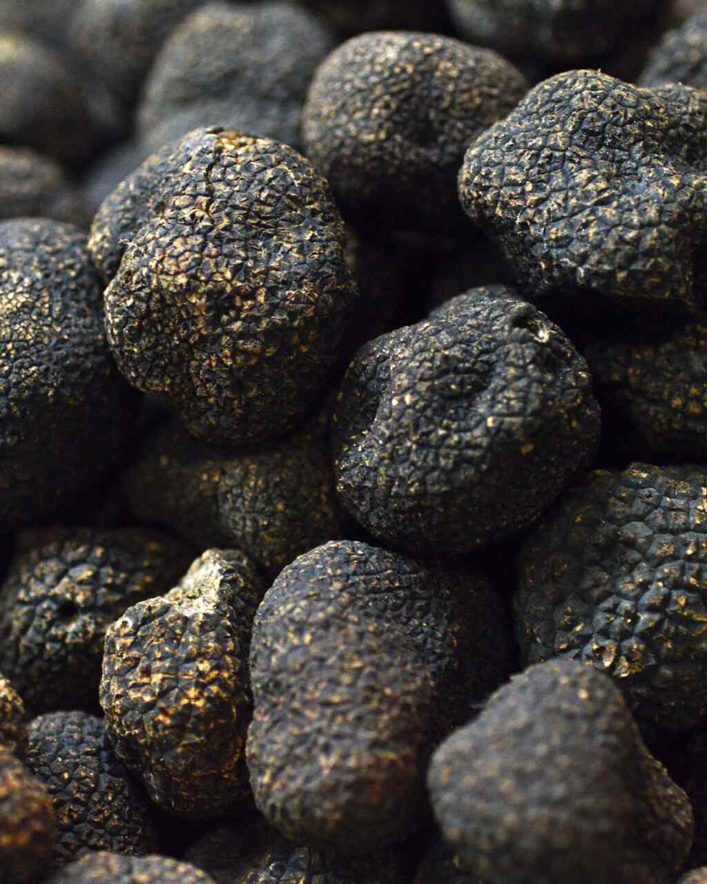 diego duarte cocinando con trufa concurso