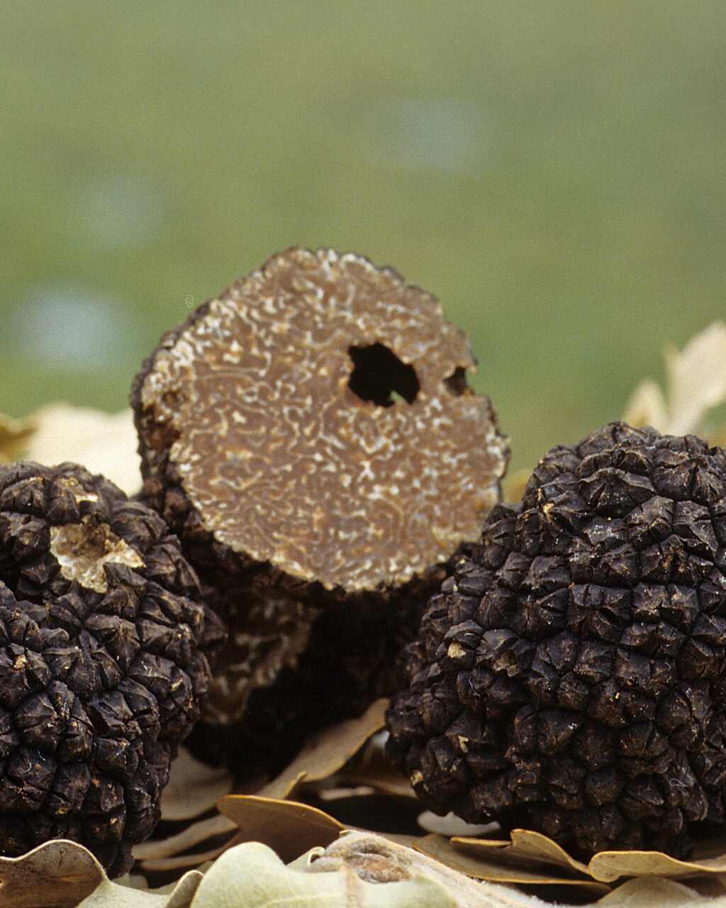 diego duarte cocinando con trufa