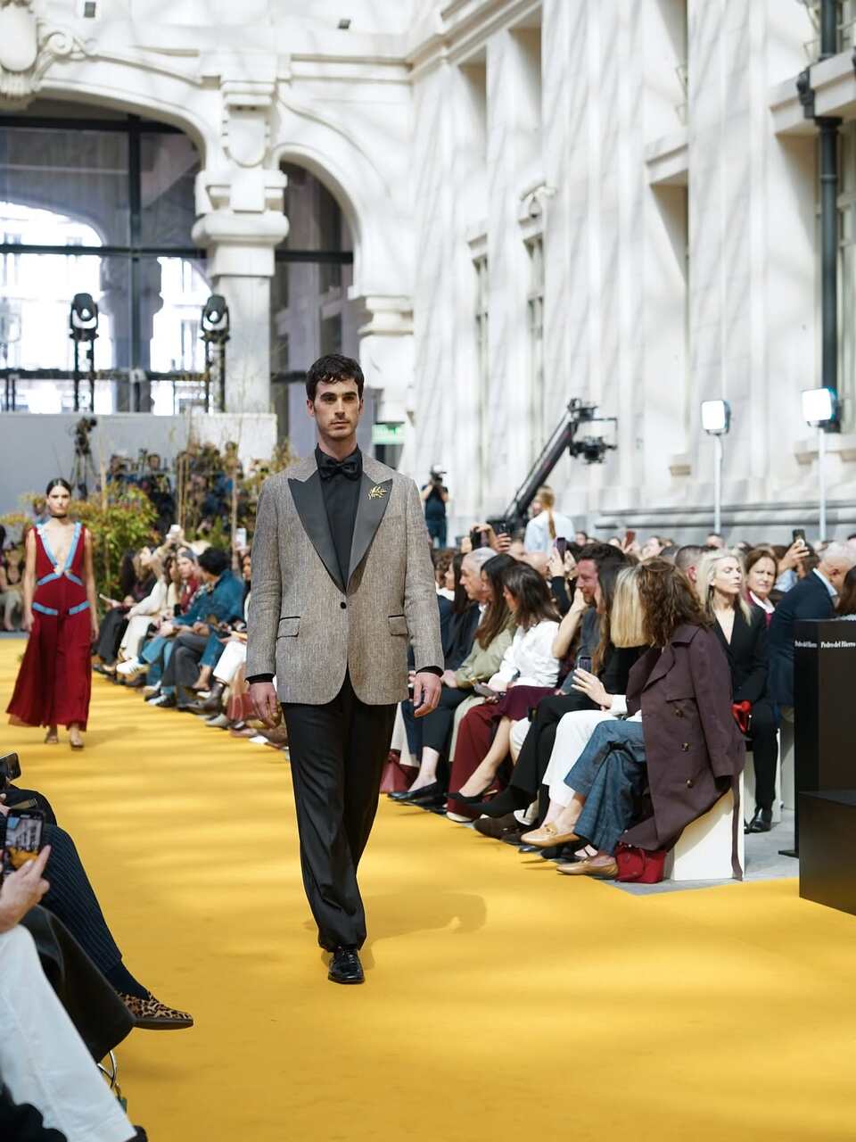 pedro del hierro zama luis