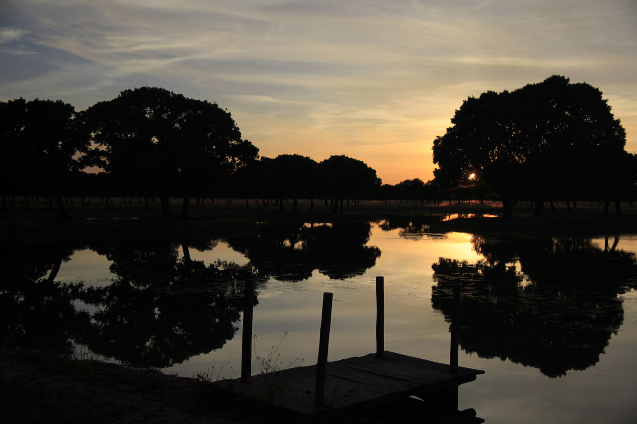 dehesa de los llanos finca