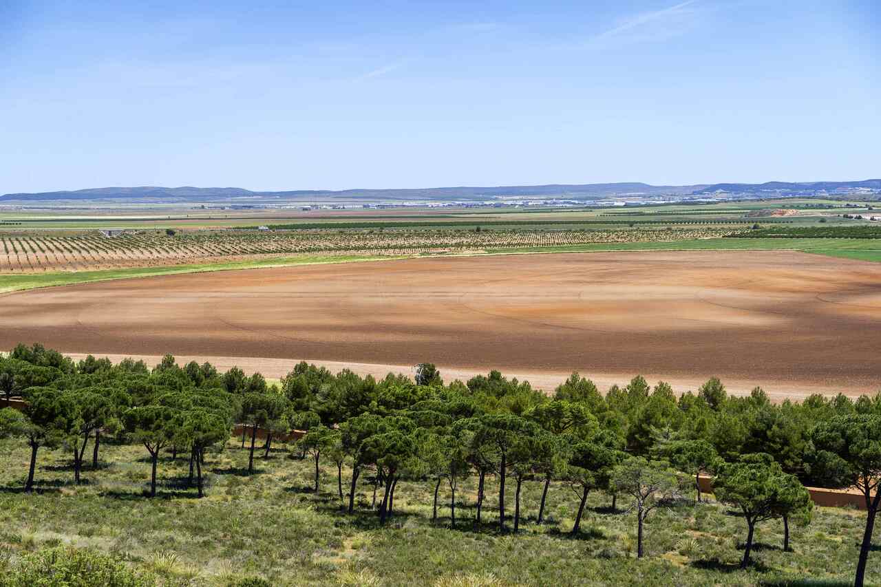 dehesa de los llanos finca