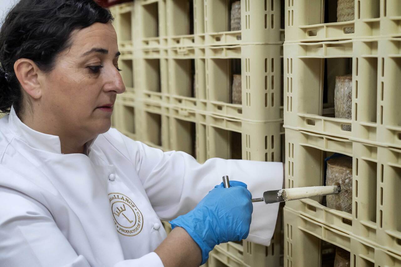 La dehesa manchega que fue hogar del Marqués de Salamanca y hoy fabrica uno de los mejores quesos de España