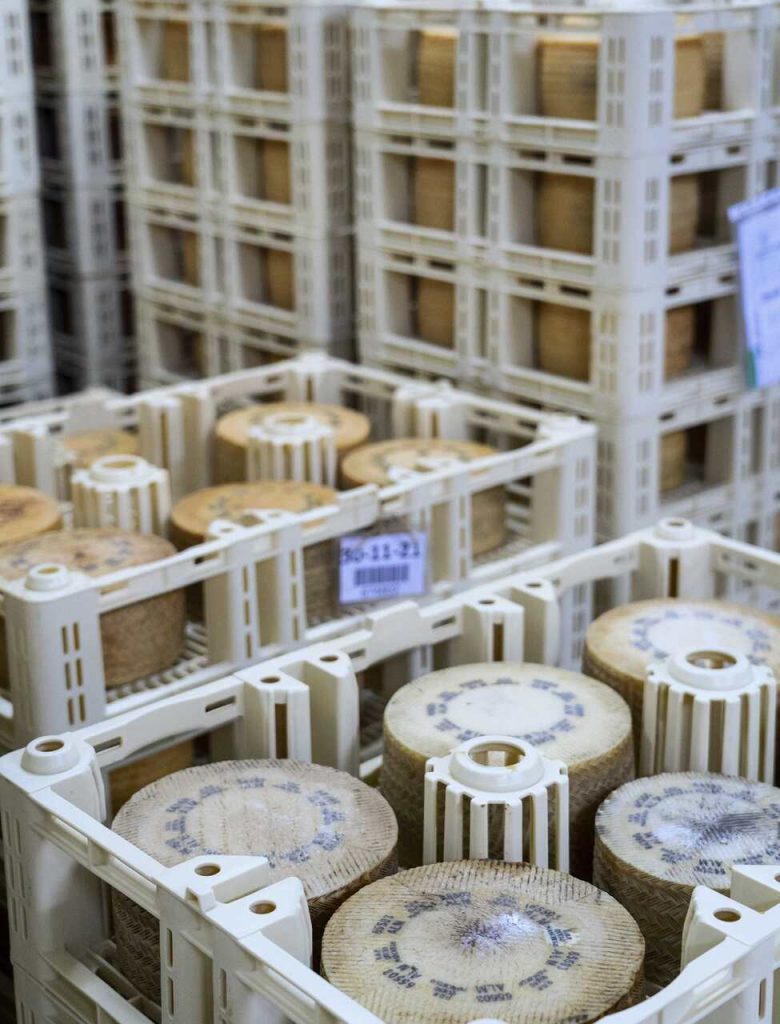 dehesa de los llanos queso