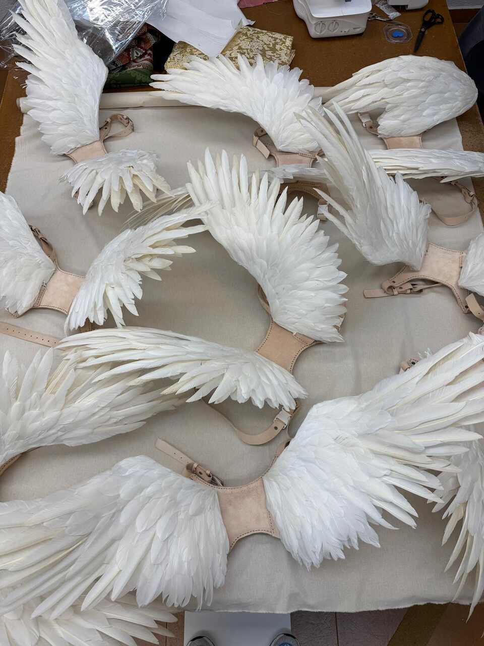 Rosalía alas Antonio Velasco LUX