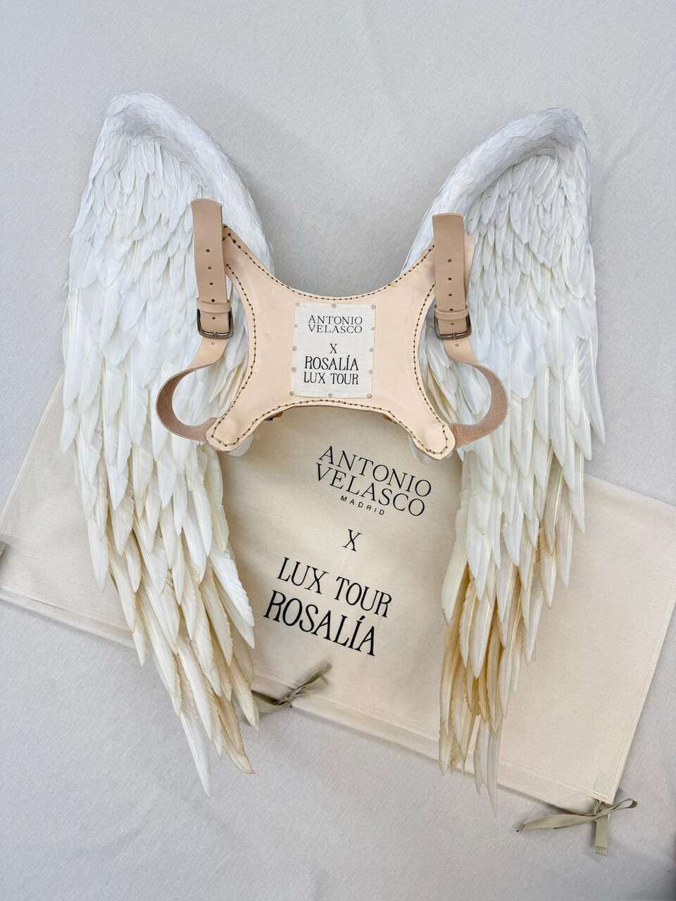 Rosalía alas Antonio Velasco LUX