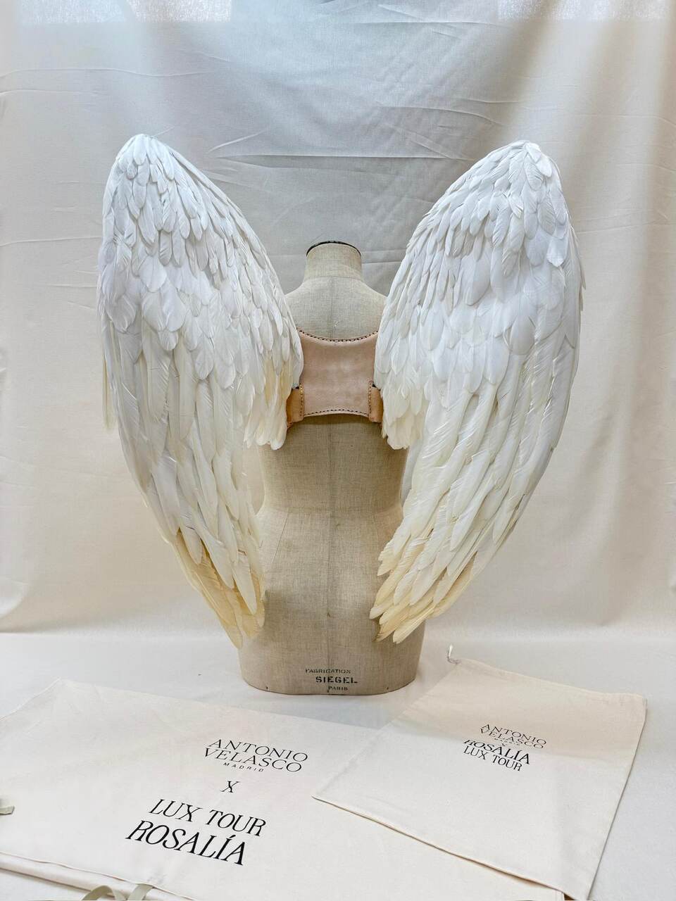 Rosalía alas Antonio Velasco LUX