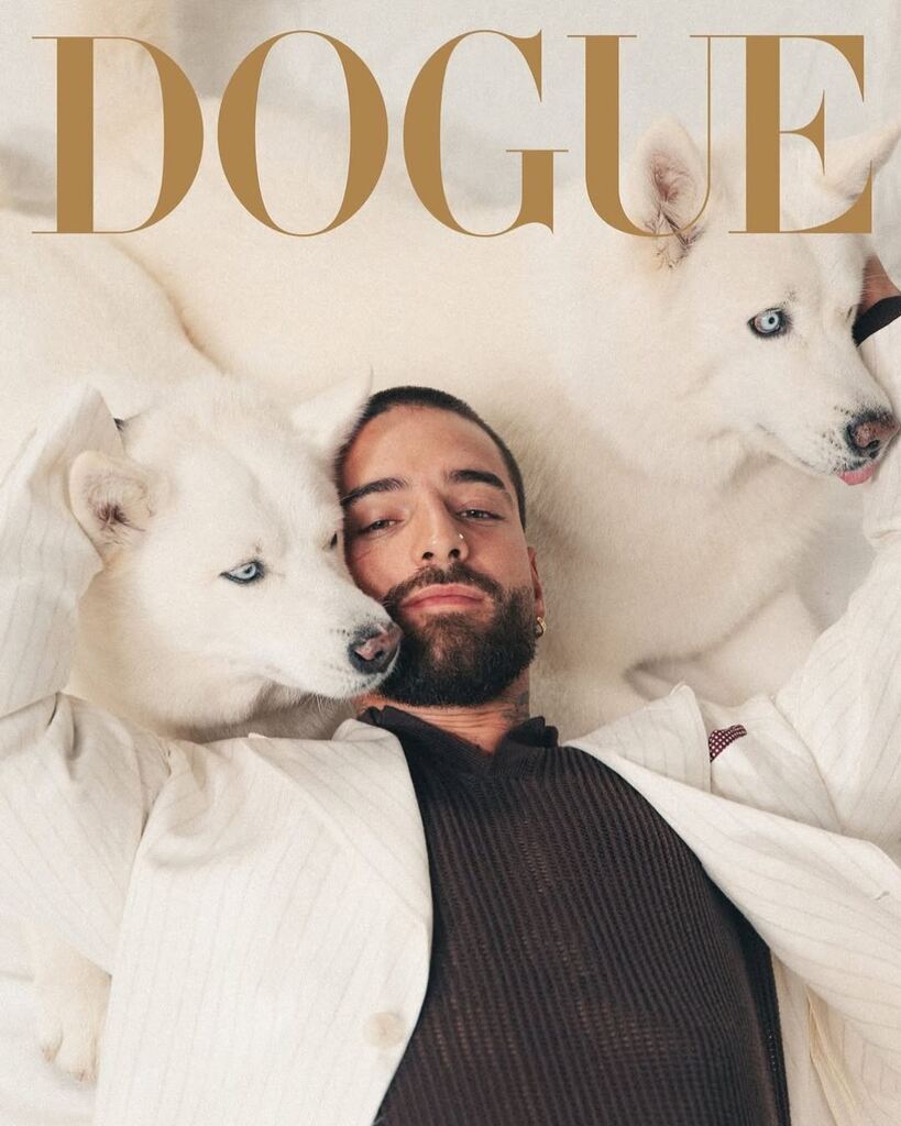 Maluma con sus perros, Dogue