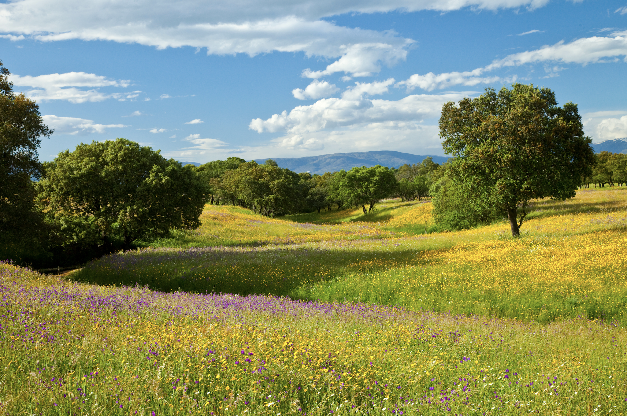 Extremadura: el destino de los que saben dónde comer bien