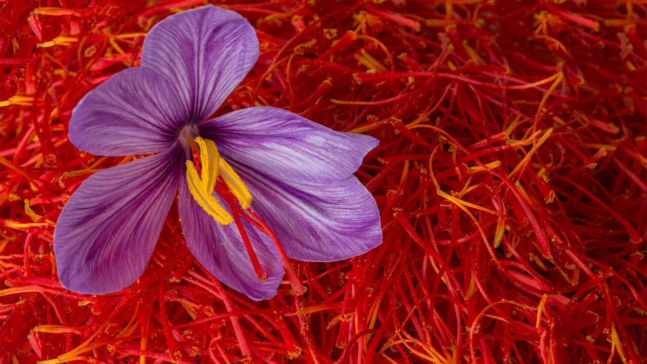 Mandi Ciriza, directora ‘Canal Cocina’: «La tendencia es volver a lo tradicional, al cocido, lechazo…»