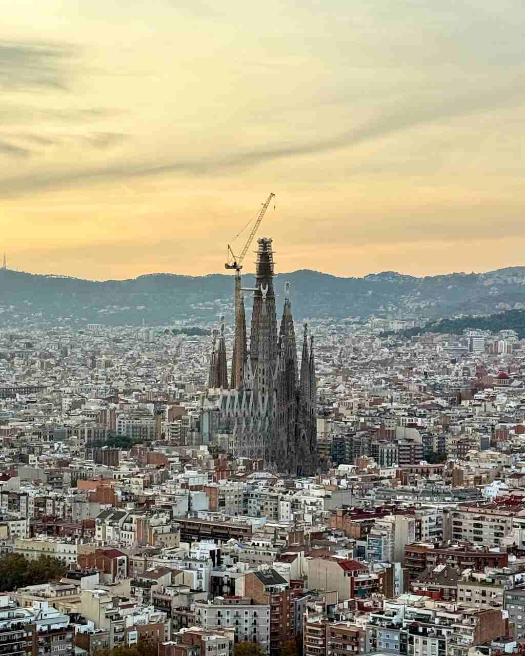 gaudi