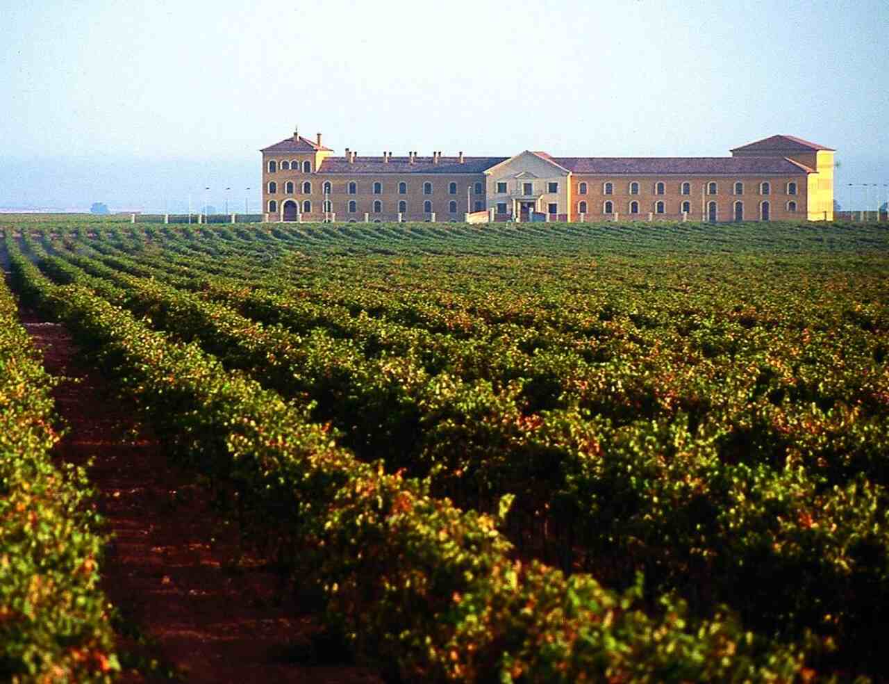 bodega castilla la mancha, pueblo