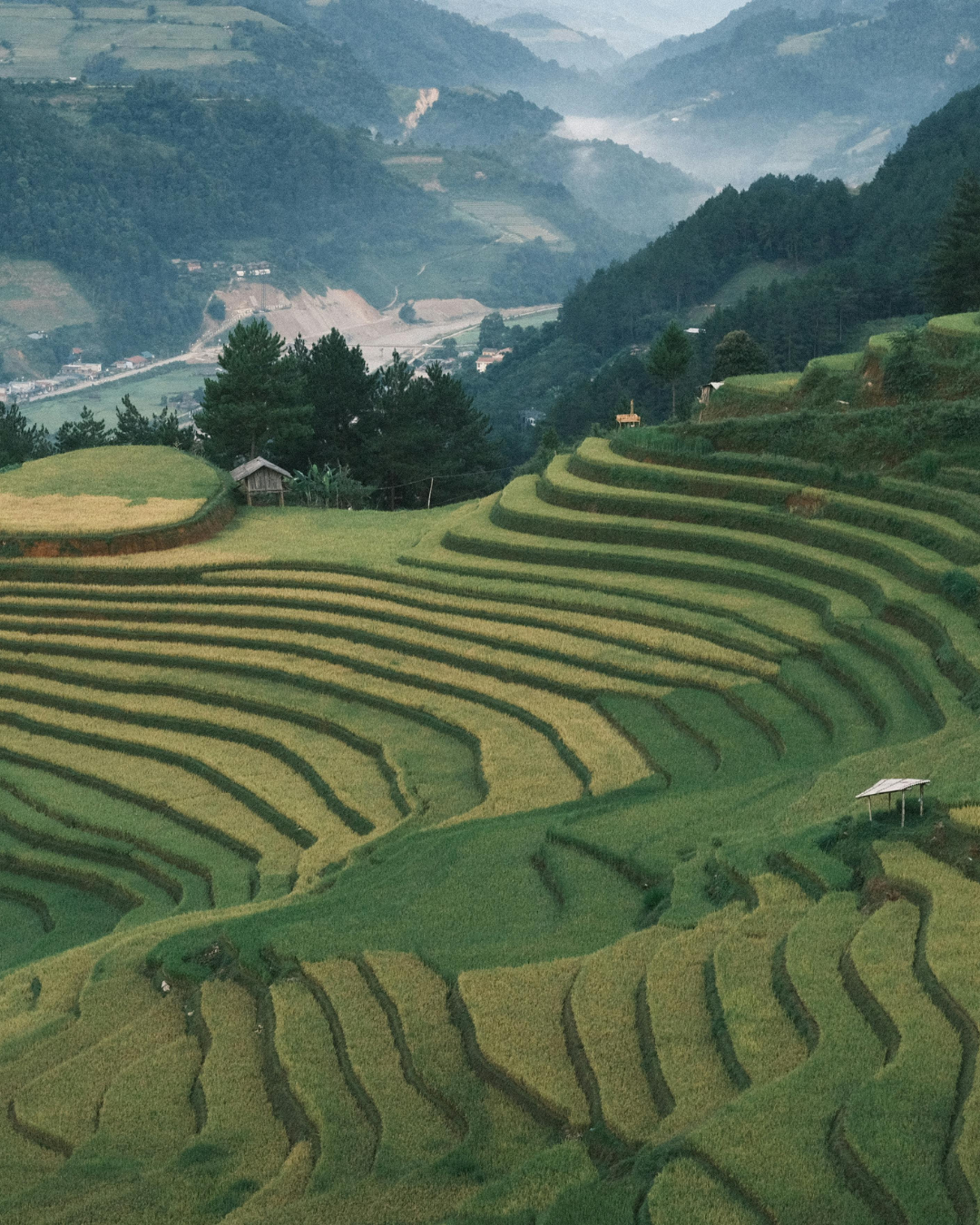 lunas de miel agencias