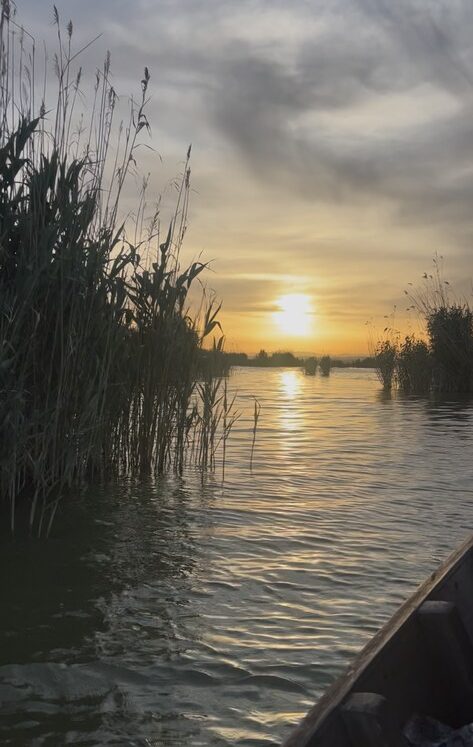 Albufera, Valencia