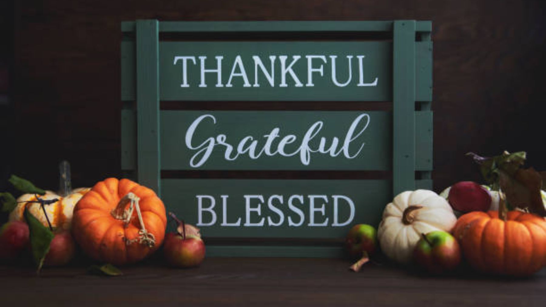 Feliz Día de Acción de Gracias! Las mejores frases e imágenes para celebrar  'Thanksgiving