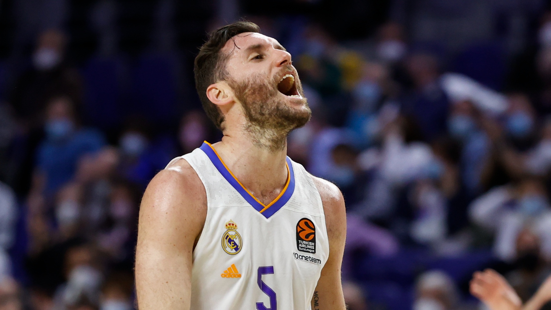 Rudy Fernández confirma la recuperación del Real Madrid