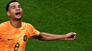 Cody Gakpo celebra un gol con Países Bajos en el Mundial de Qatar. (AFP)