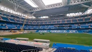 Así luce el nuevo césped del Bernabéu.