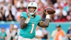 Tua Tagovailoa, quarterback de los Miami Dolphins, durante un partido. (Getty)