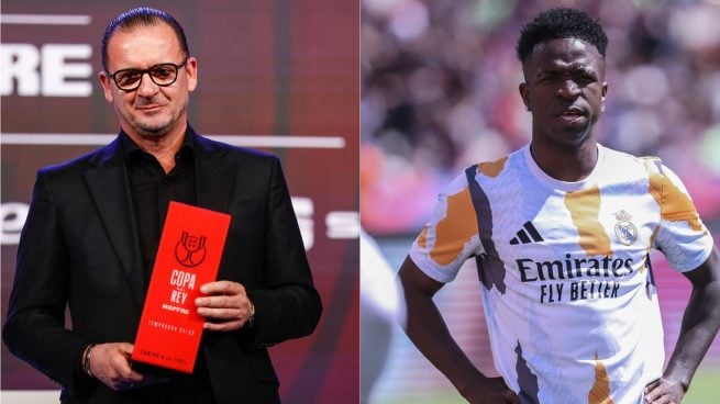 Pedja Mijatovic, Vinicius