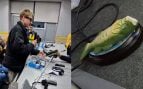rueda de prensa