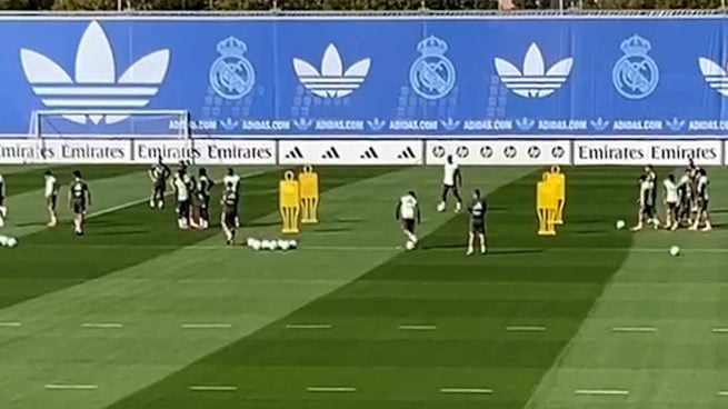 Ver vídeo