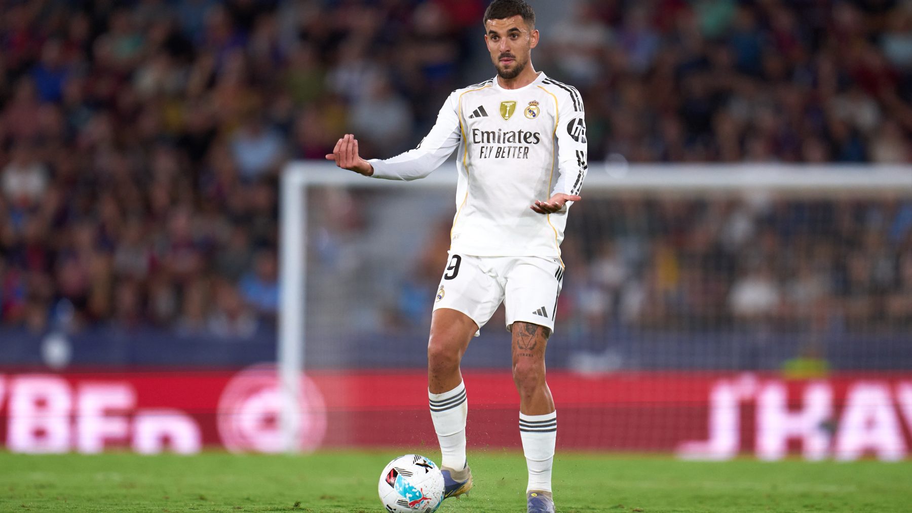 dani ceballos