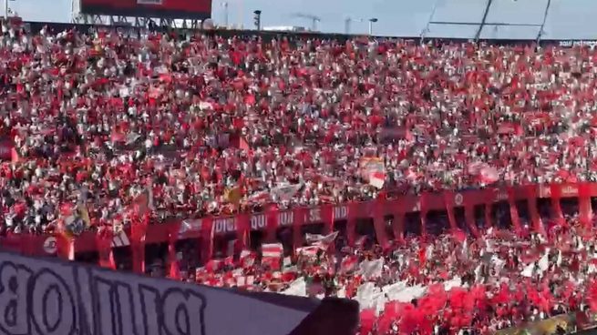 Ver vídeo
